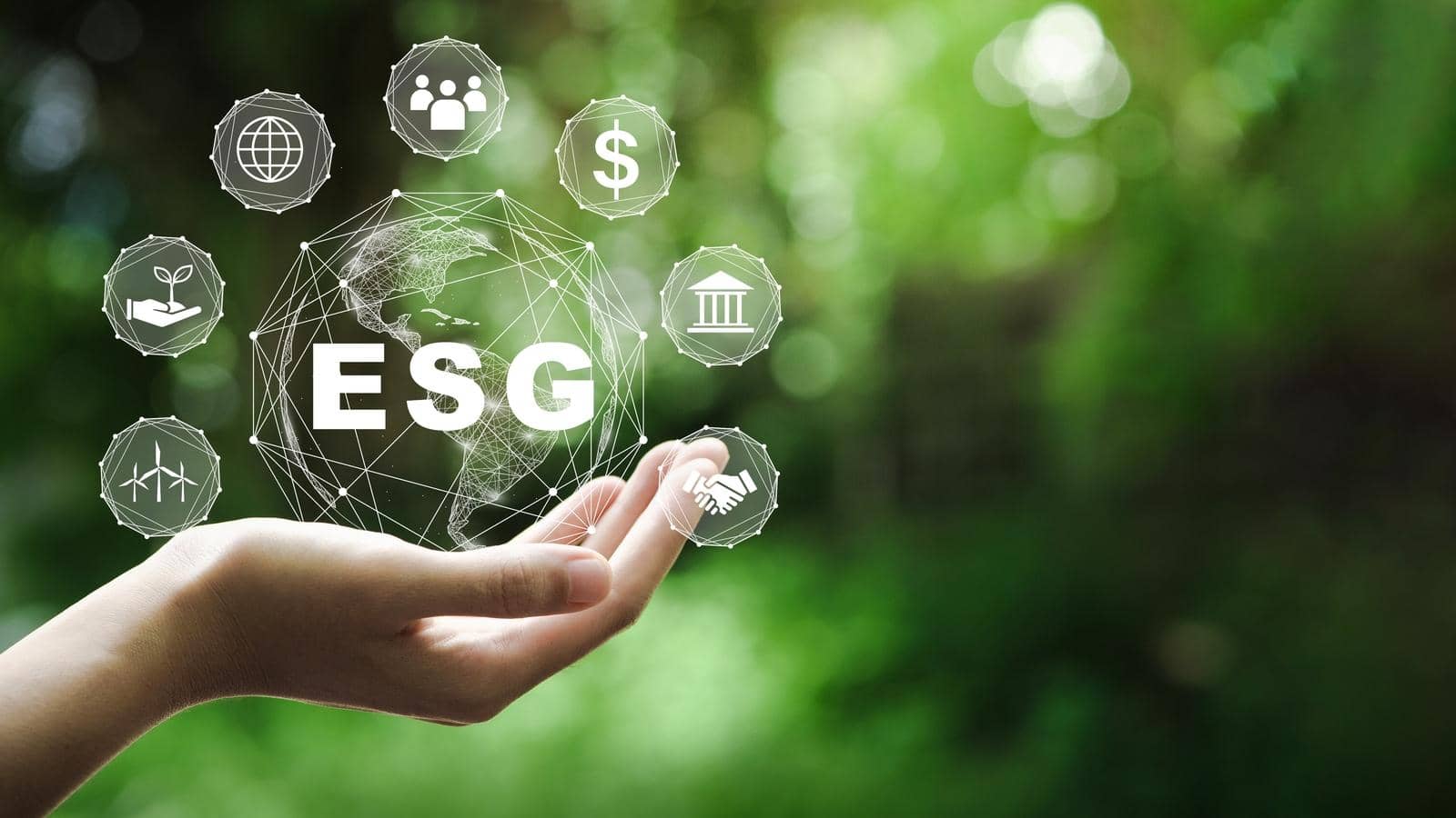 Getting to Know ESG: The Basics You Need to Start