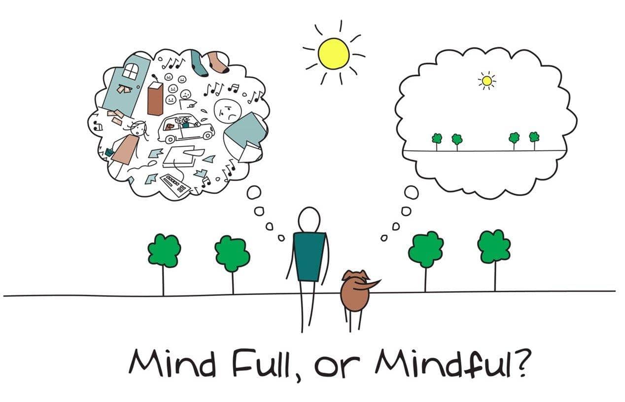 Mindfulness for the Easily Distracted: Simple Exercises to Stay Present